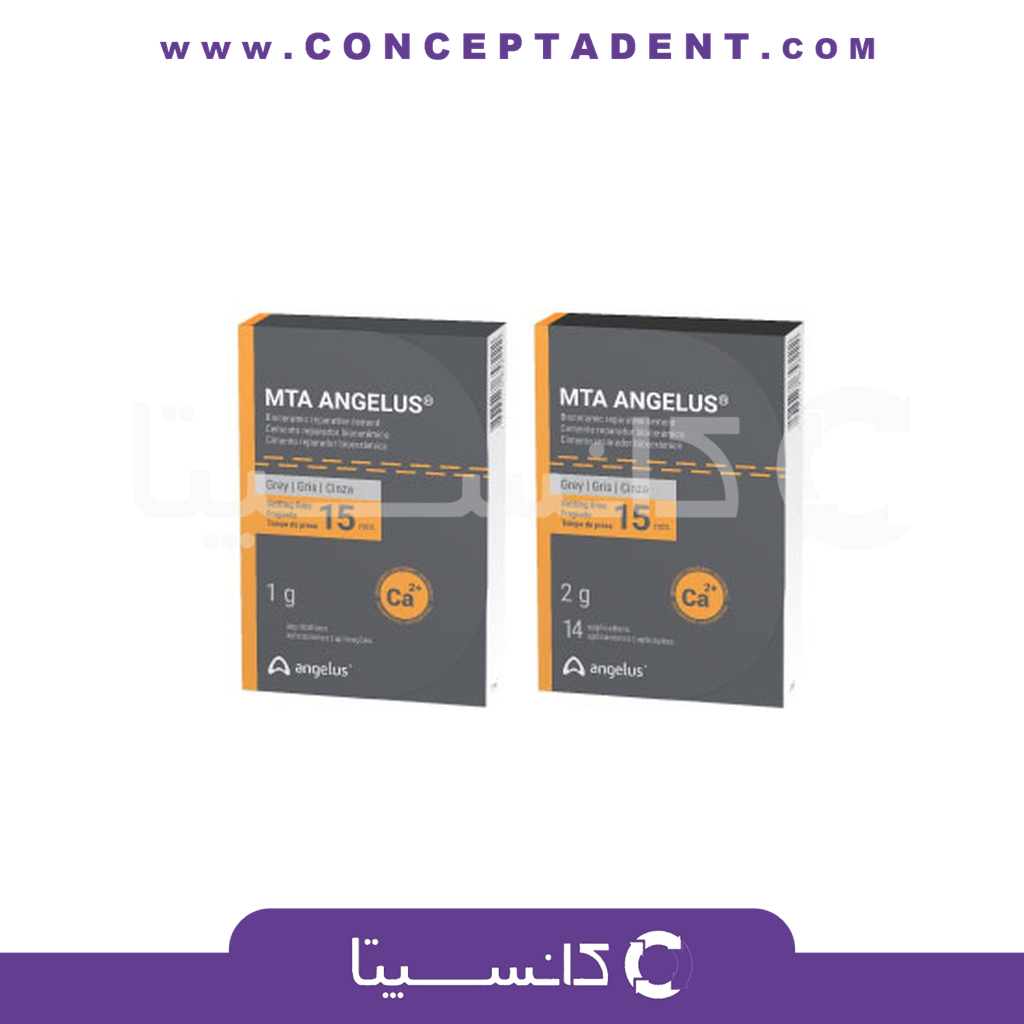 ام‌تی‌ای آنجلوس – MTA Angelus