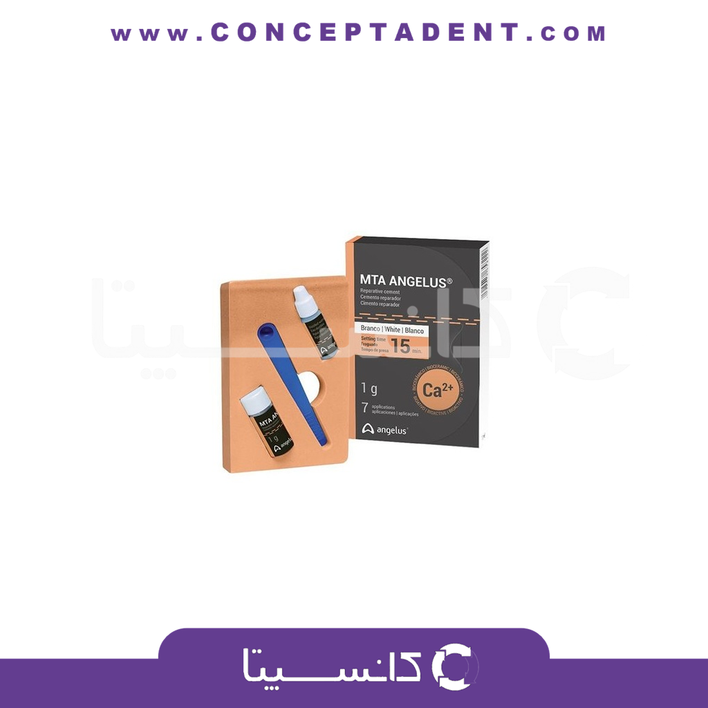 ام‌تی‌ای آنجلوس – MTA Angelus