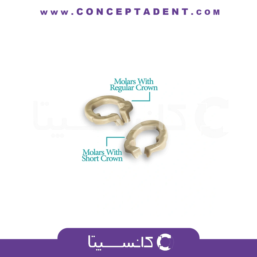 رینگ سکشنال رزینی resin sectional ring برند Zt Dental – Resin Sectional Ring Zt Dental