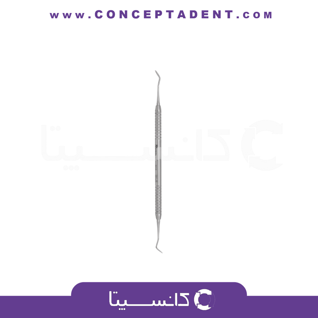 کارور هولن باخ – Hollenback Carver N.3S