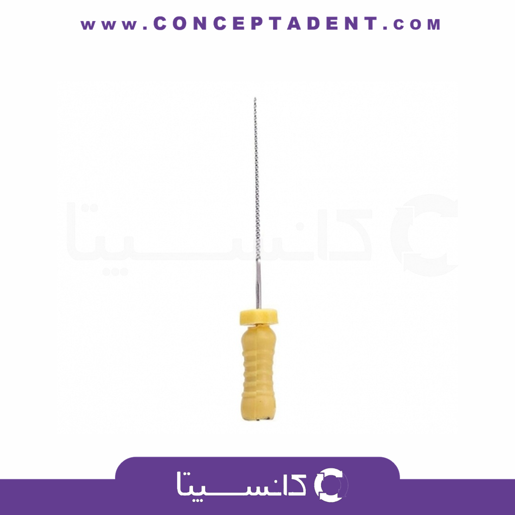 فایل دستی K طول 25 Rogin – Prodonta