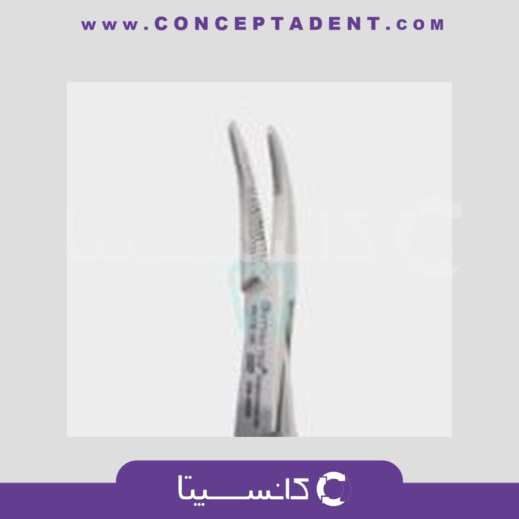 موسکیتو سر کج – Fattahteb