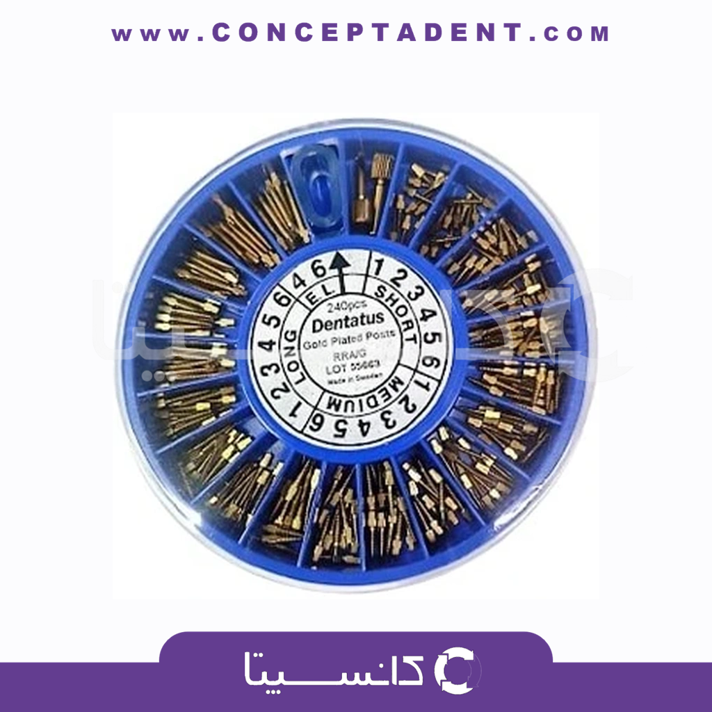 پین 240 عددی دنتال – 240 Pieces Dental Pins