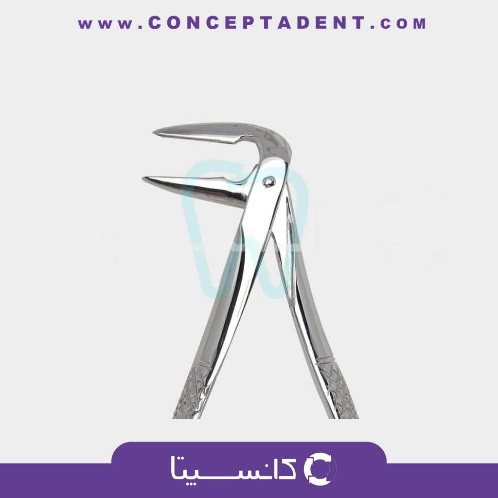 فورسپس ریشه کش پایین ویژه – 1025 Fattahteb