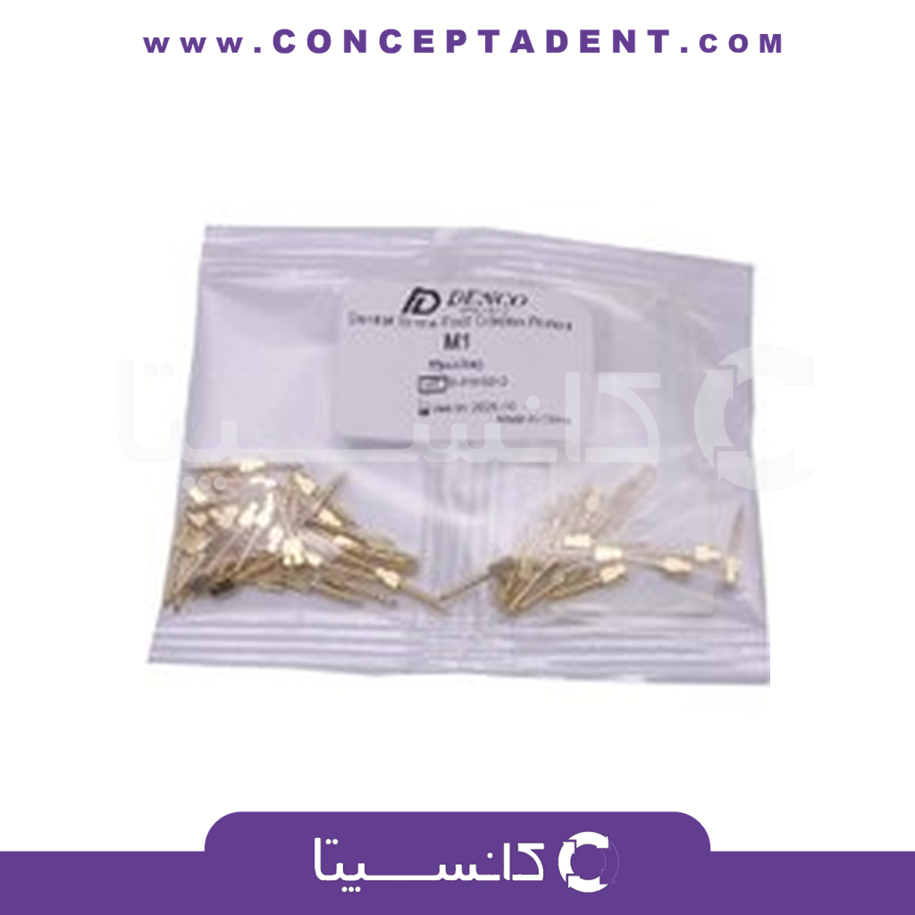 پین داخل کانال تک سایز برنجی روسی – Russia Goldplated Conical Screw Posts