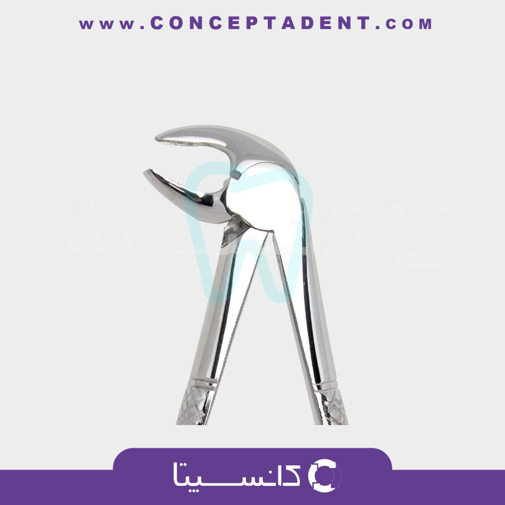 فورسپس پرمولر پایین – 1010 Fattahteb