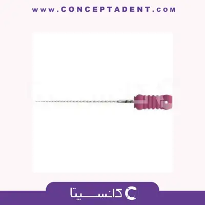 فایل C File منعطف – endo art