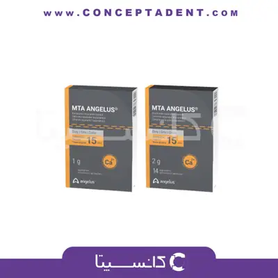 ام‌تی‌ای آنجلوس – MTA Angelus