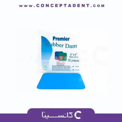 لاستیک رابردم پریمیر – PREMIER