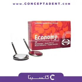 سر آینه اکونومی اصلی – Economy Mirror Head