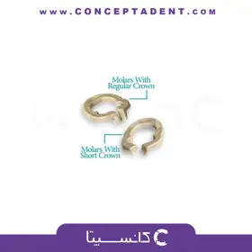 رینگ سکشنال رزینی resin sectional ring برند Zt Dental – Resin Sectional Ring Zt Dental