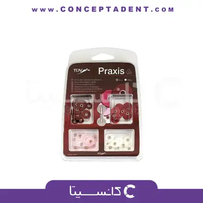 کیت دیسک پالیش کامپوزیت تی دی وی – TDV Praxis
