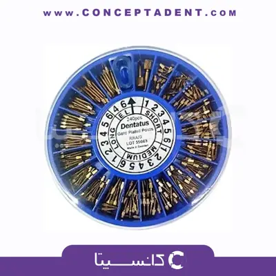 پین 240 عددی دنتال – 240 Pieces Dental Pins