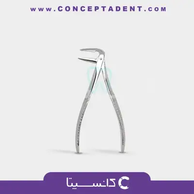 فورسپس ریشه کش پایین ویژه – 1025 Fattahteb