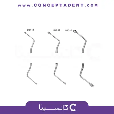 بن کورت همینگوی – Bone Currette Hemingway