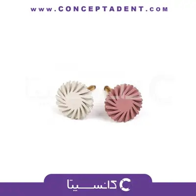 مولت پالیش خورشیدی Ash – Solar Polish Multi-Function Ash